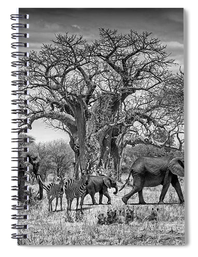 Africa Spiral Notebook featuring the photograph African Wildlife by Lev Kaytsner