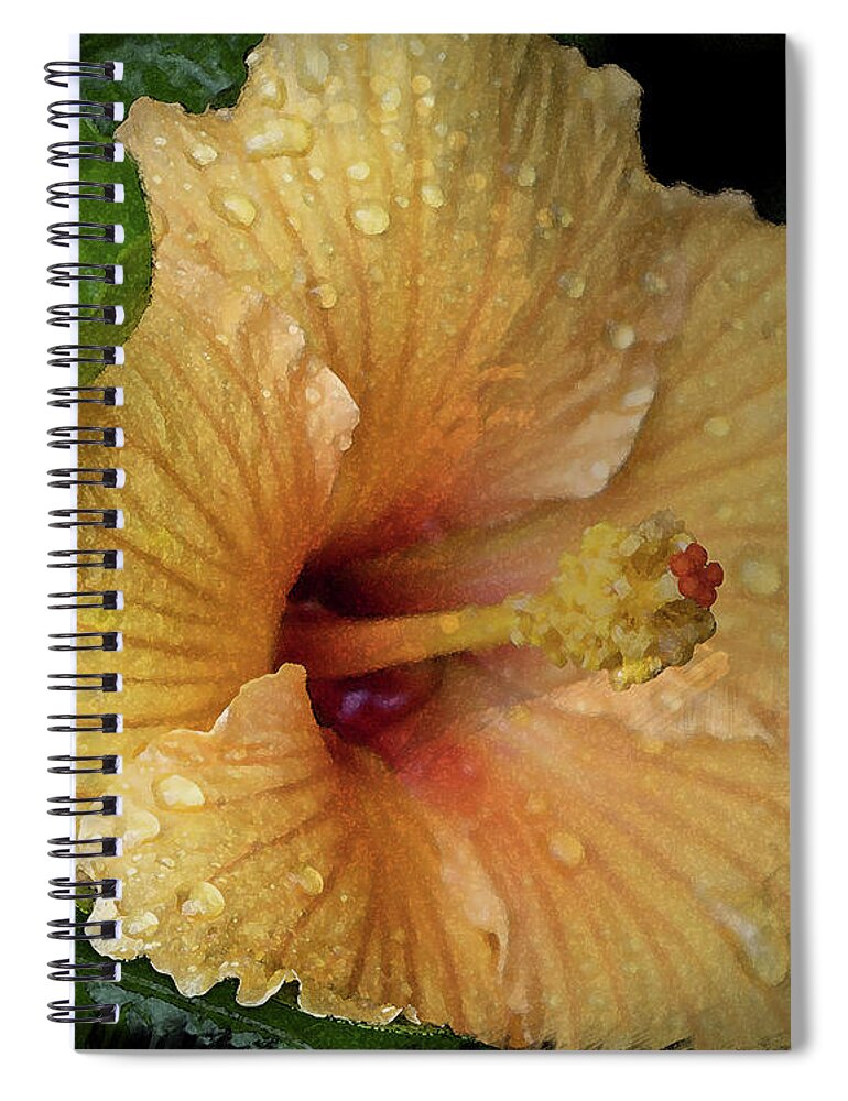 Hibiscus Spiral Notebook featuring the photograph After the Rain by M Kathleen Warren