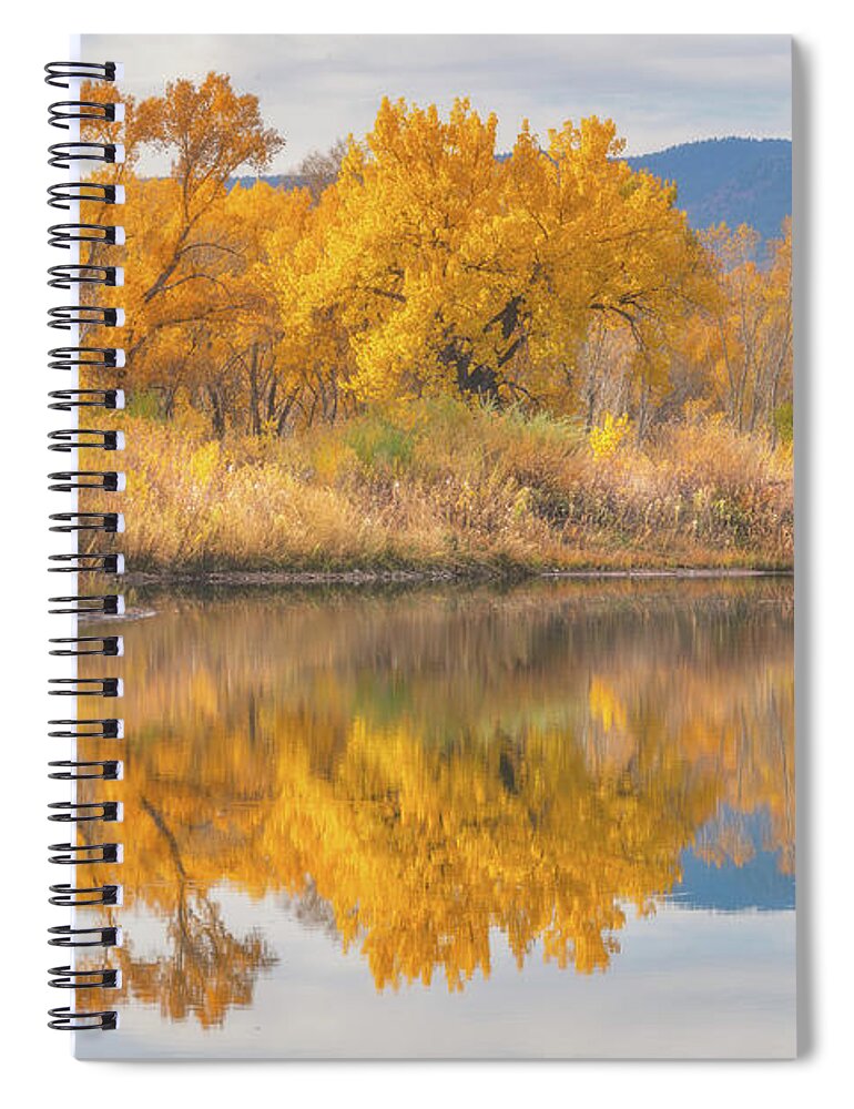 Fall Spiral Notebook featuring the photograph Afternoon Gold by Darren White