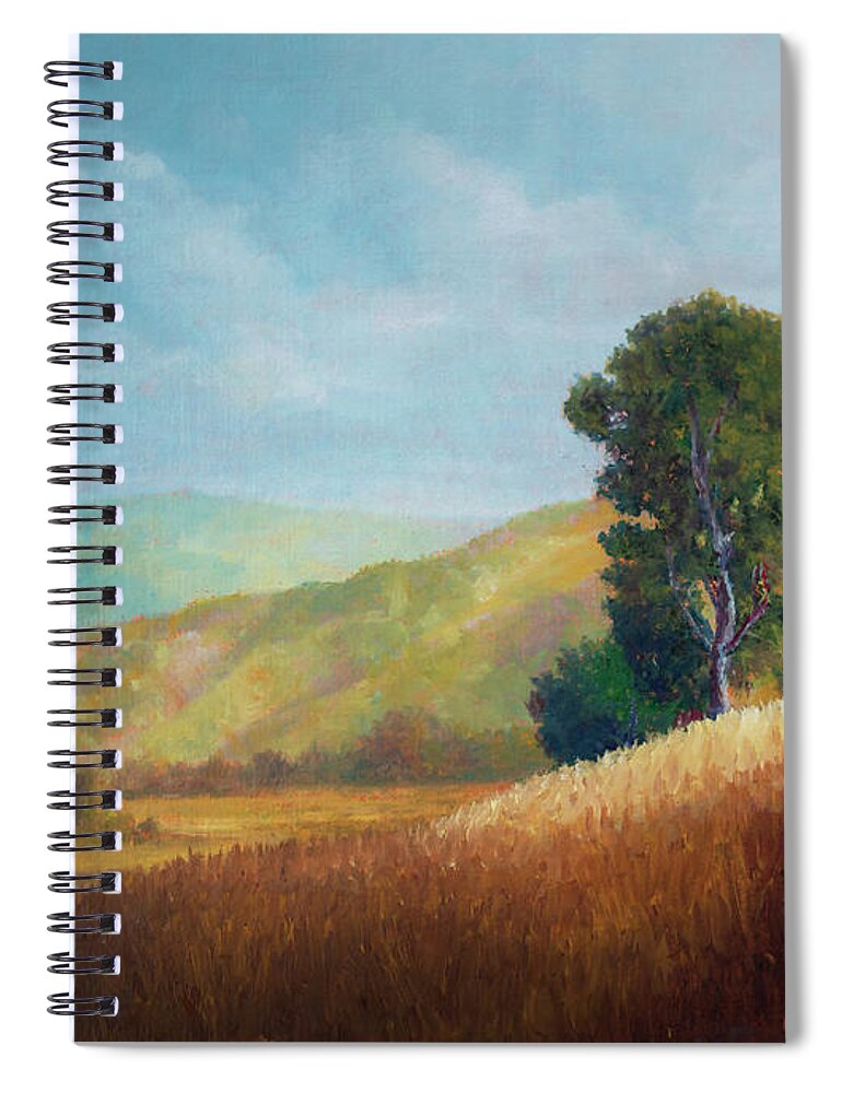 Oil Painting Spiral Notebook featuring the painting Afternoon Light by Douglas Castleman