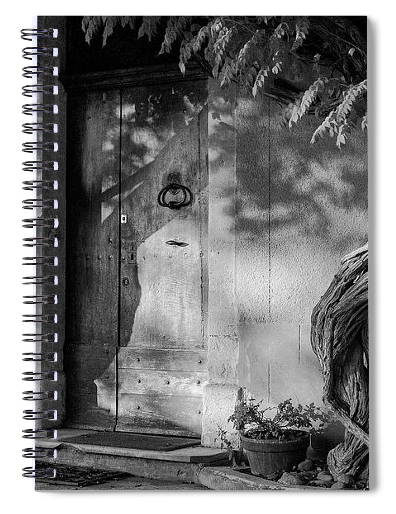 Avignon Spiral Notebook featuring the photograph Afternoon Light on Twisted Trees 2 by Bob Phillips