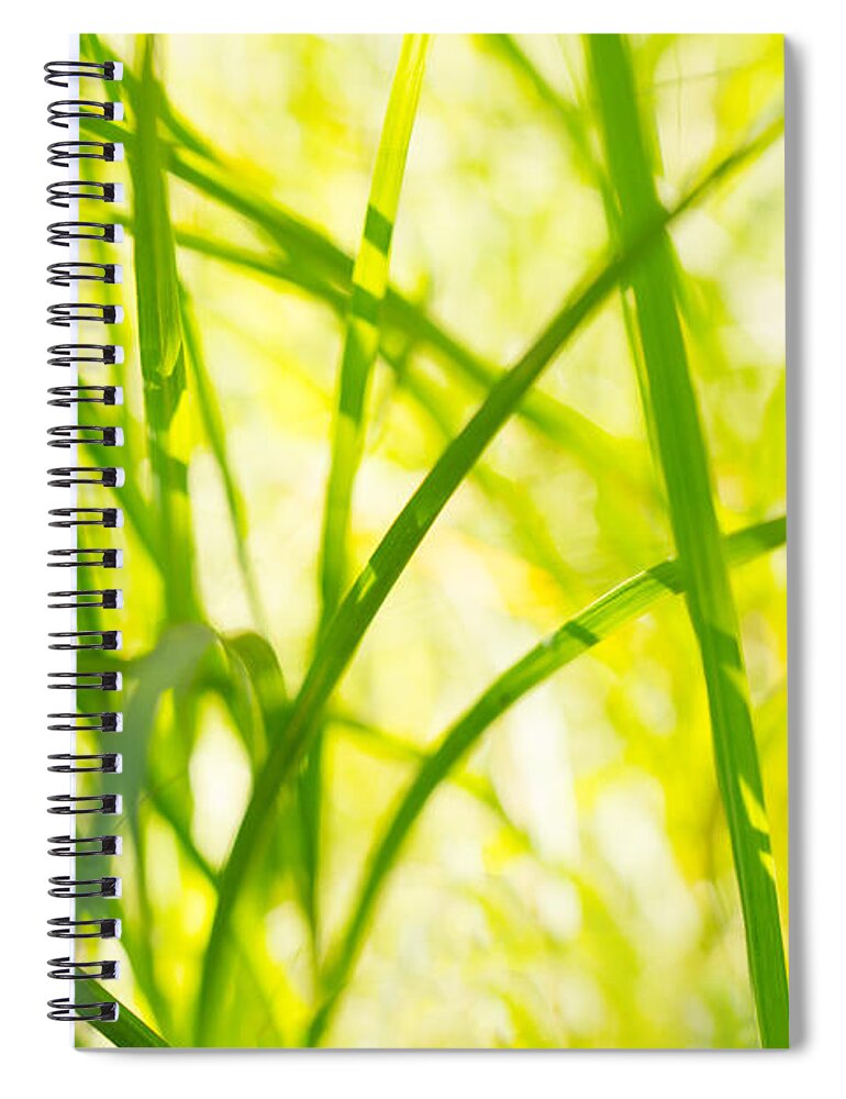 Afternoon Nap Spiral Notebook featuring the photograph Afternoon Nap by Derek Dean