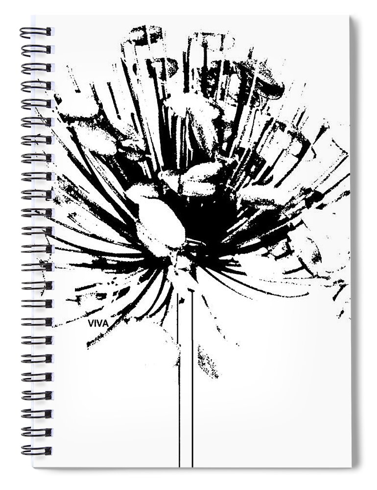Agapanthus Spiral Notebook featuring the photograph Agapanthus b-w.1 by VIVA Anderson