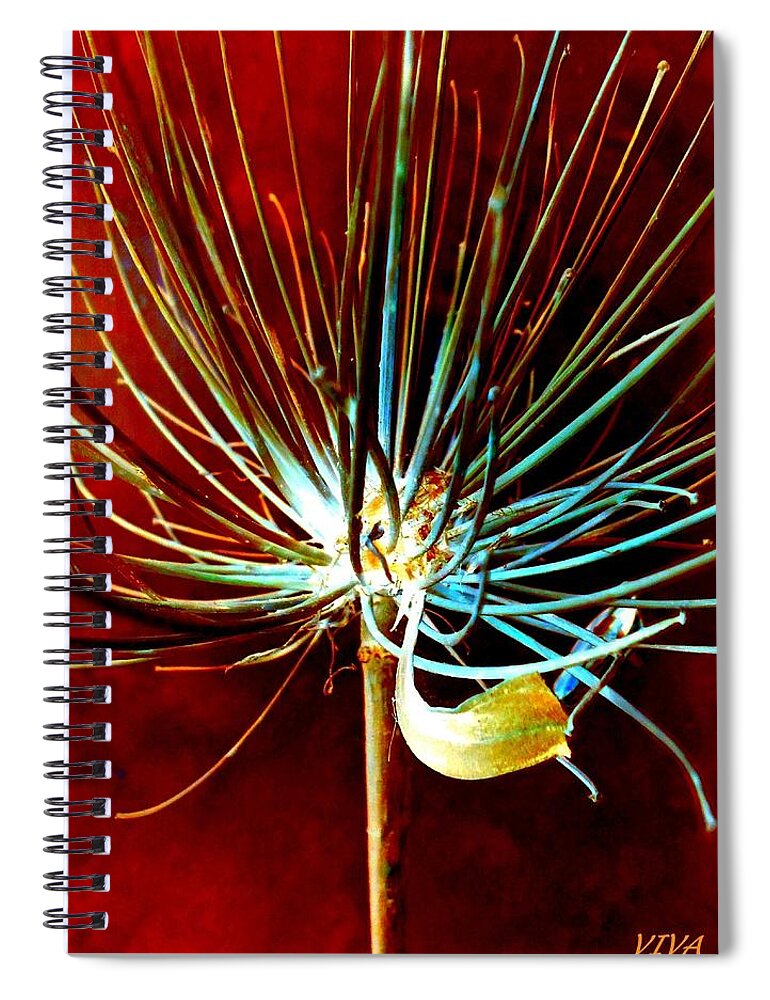 Agapanthus Spiral Notebook featuring the photograph Agapanthus - Unframed by VIVA Anderson