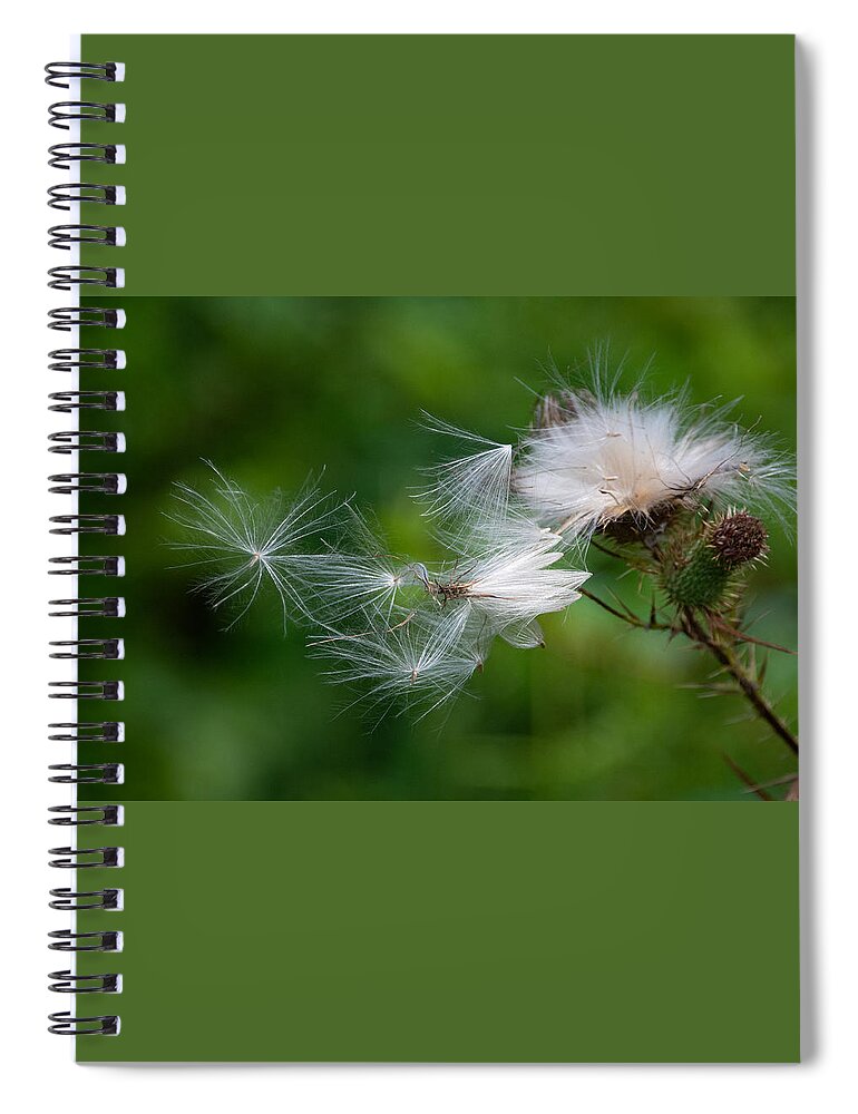 Thistle Spiral Notebook featuring the photograph Air Travel by Linda Bonaccorsi