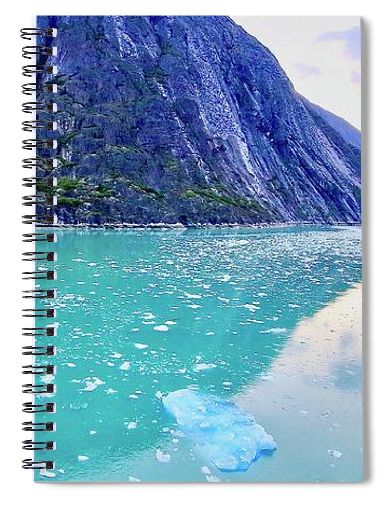 Alaska Spiral Notebook featuring the photograph Alaska 9 by Carol Jorgensen