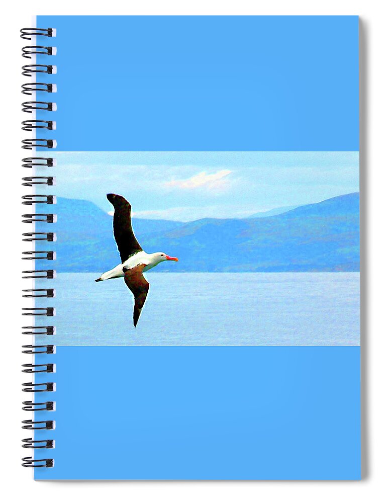 New Zealand Spiral Notebook featuring the photograph Albatross flying over Otago new Zealand by Sam Hall