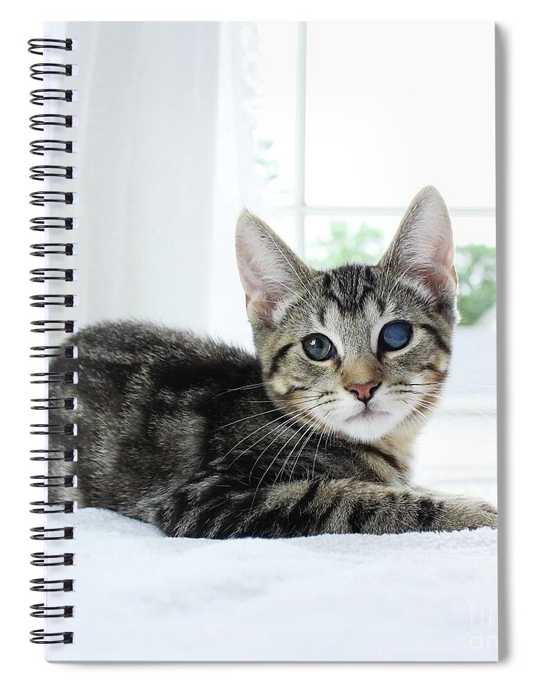 Sea Spiral Notebook featuring the photograph Ali Baba by Michael Graham