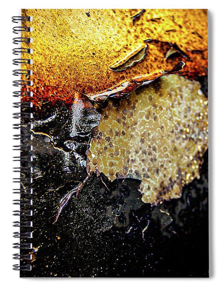 Abstract Spiral Notebook featuring the photograph Alien Cell Blob by Liquid Eye