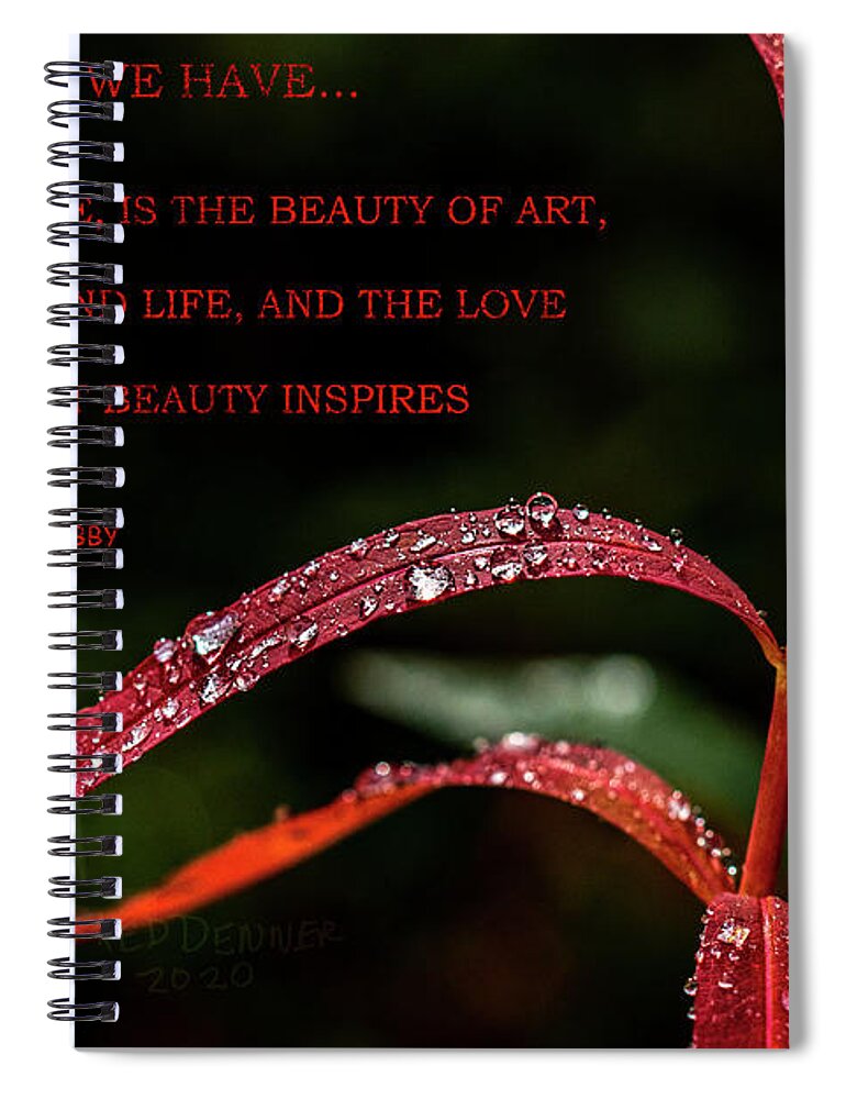 Alaska Spiral Notebook featuring the photograph All We Have by Fred Denner