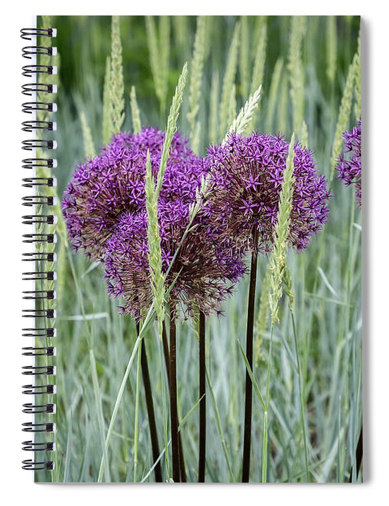 Dow Gardens Spiral Notebook featuring the photograph Allium in the Weeds by Robert Carter