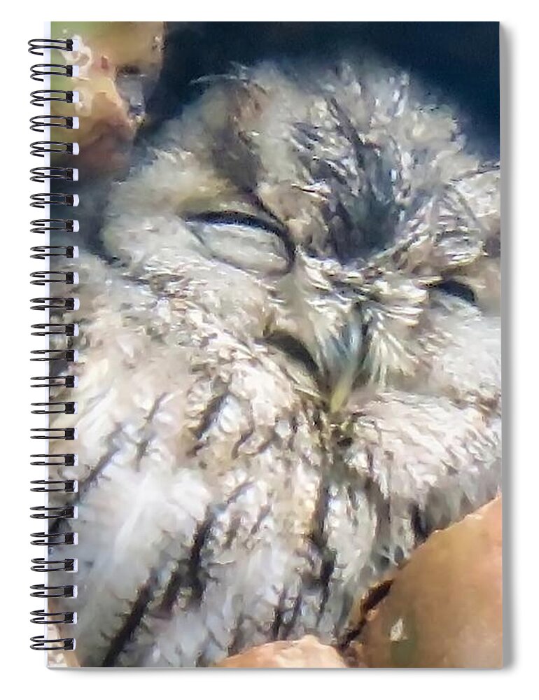 Icon Spiral Notebook featuring the photograph Almost Asleep by Judy Kennedy