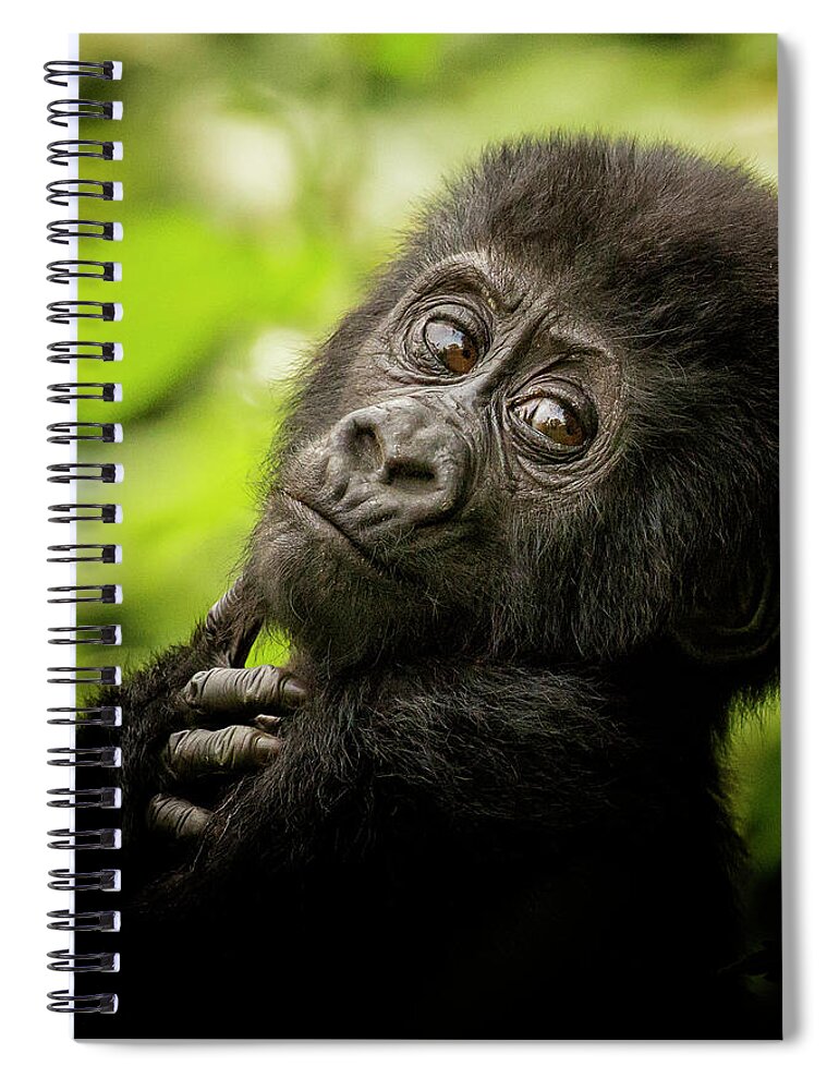 Africa Spiral Notebook featuring the photograph Almost Human by Phil Marty