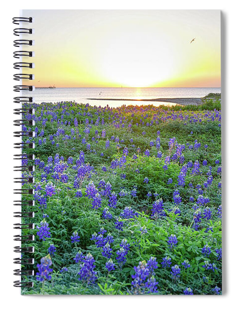 Bluebonnets Spiral Notebook featuring the photograph Almost Spring by Christopher Rice