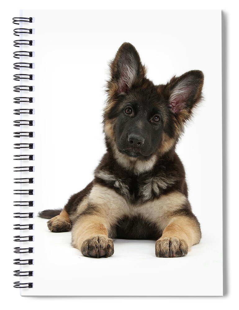 German Shepherd Dog Spiral Notebook featuring the photograph Alsatian pup by Warren Photographic