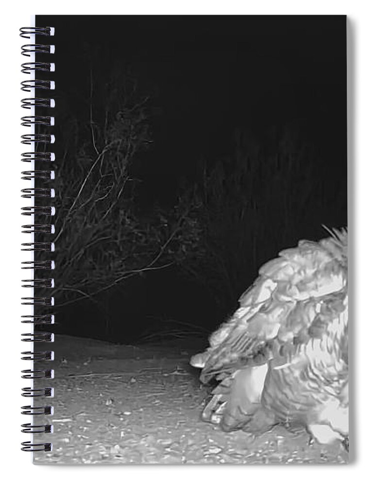 Great Horned Owl Spiral Notebook featuring the photograph Am I Bad or What? by Judy Kennedy