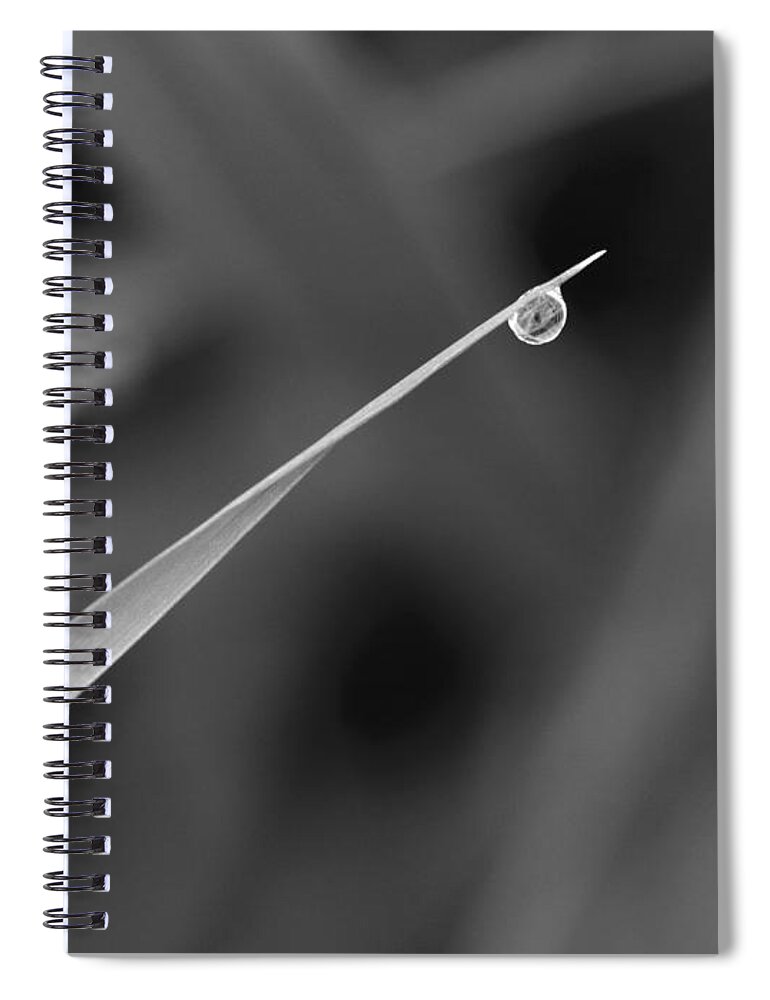 Bw Spiral Notebook featuring the photograph A.m. by I'ina Van Lawick
