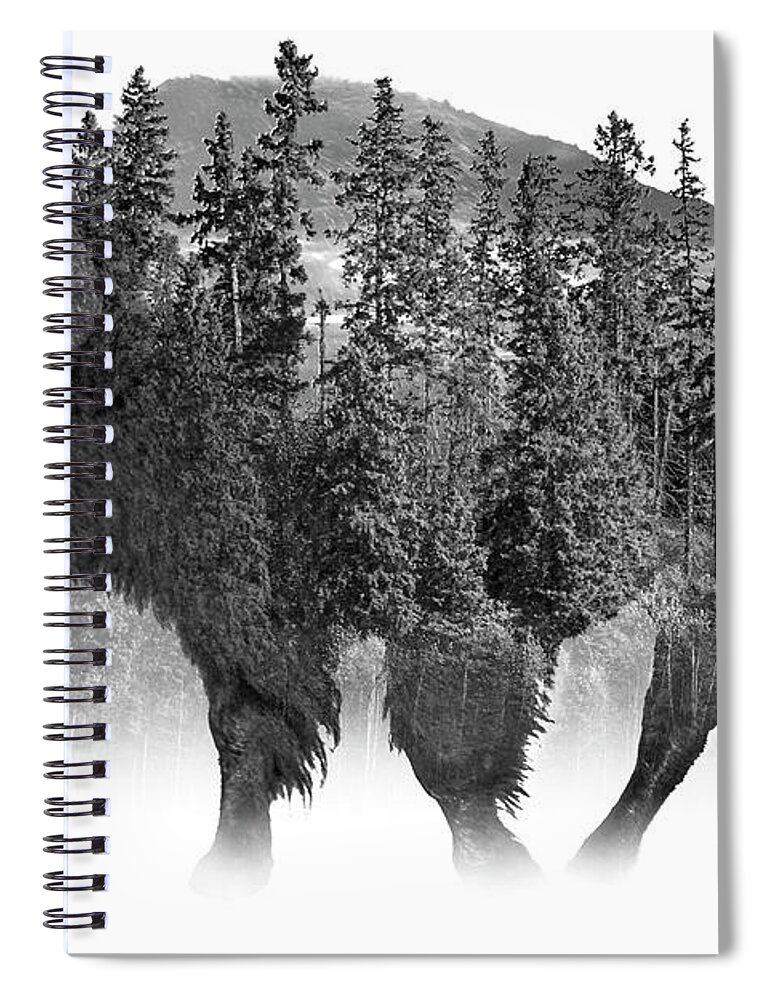 Buffalo Spiral Notebook featuring the photograph American Buffalo Black and White Fine Art by Randall Nyhof