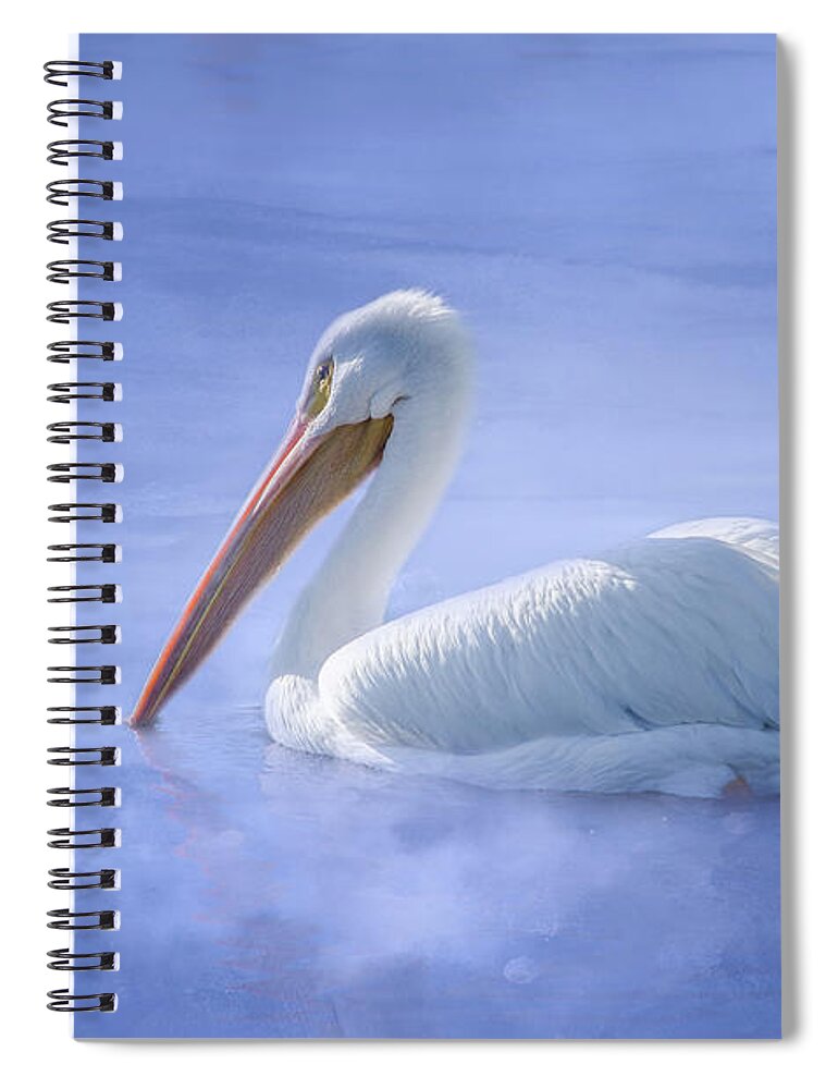 American White Pelican Spiral Notebook featuring the photograph American White Pelican Daydreaming by Debra Martz
