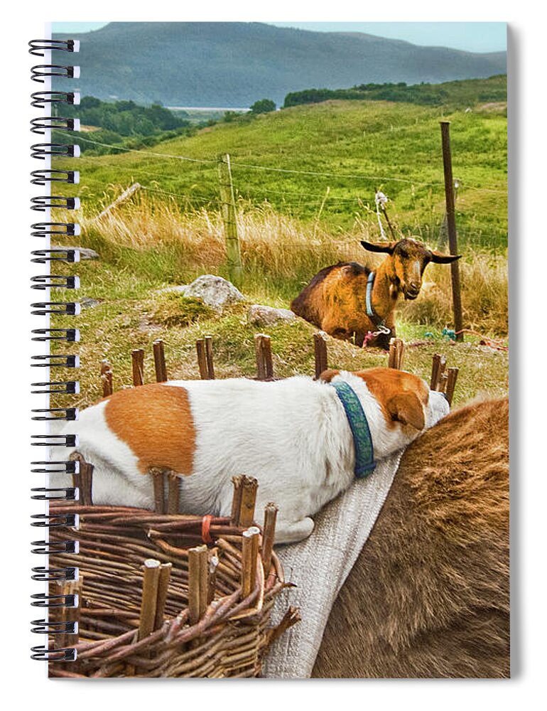 Animal Art Spiral Notebook featuring the photograph Amigos by Edward Shmunes