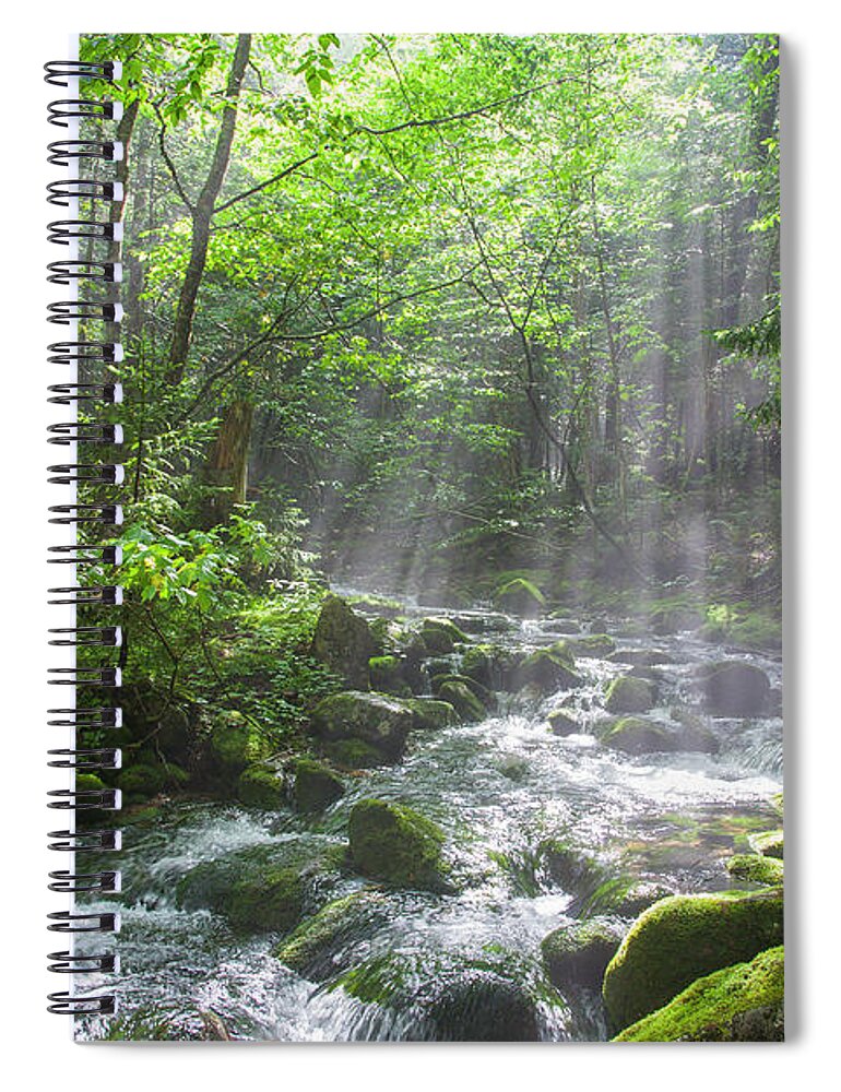 Adventure Spiral Notebook featuring the photograph Ammonoosuc Ravine Trail - White Mountains NH USA by Erin Paul Donovan