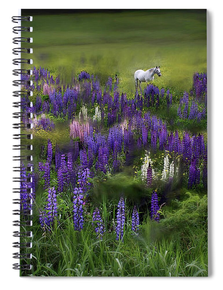 White Spiral Notebook featuring the photograph An Arabian Dream in a Field of Lupine by Wayne King