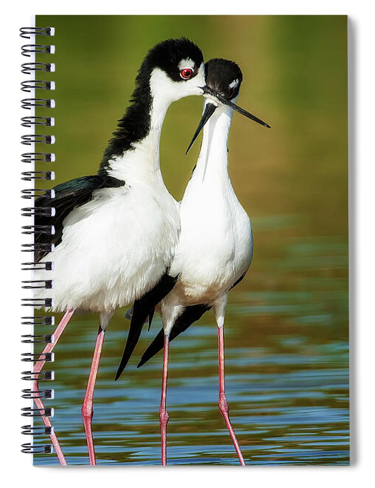Arboretum Spiral Notebook featuring the photograph An Intimate Moment by Rick Furmanek