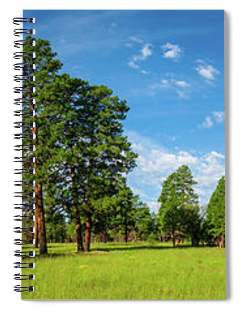 Arizona Spiral Notebook featuring the photograph Anasazi Meadow on Campbell Mesa by Jeff Goulden