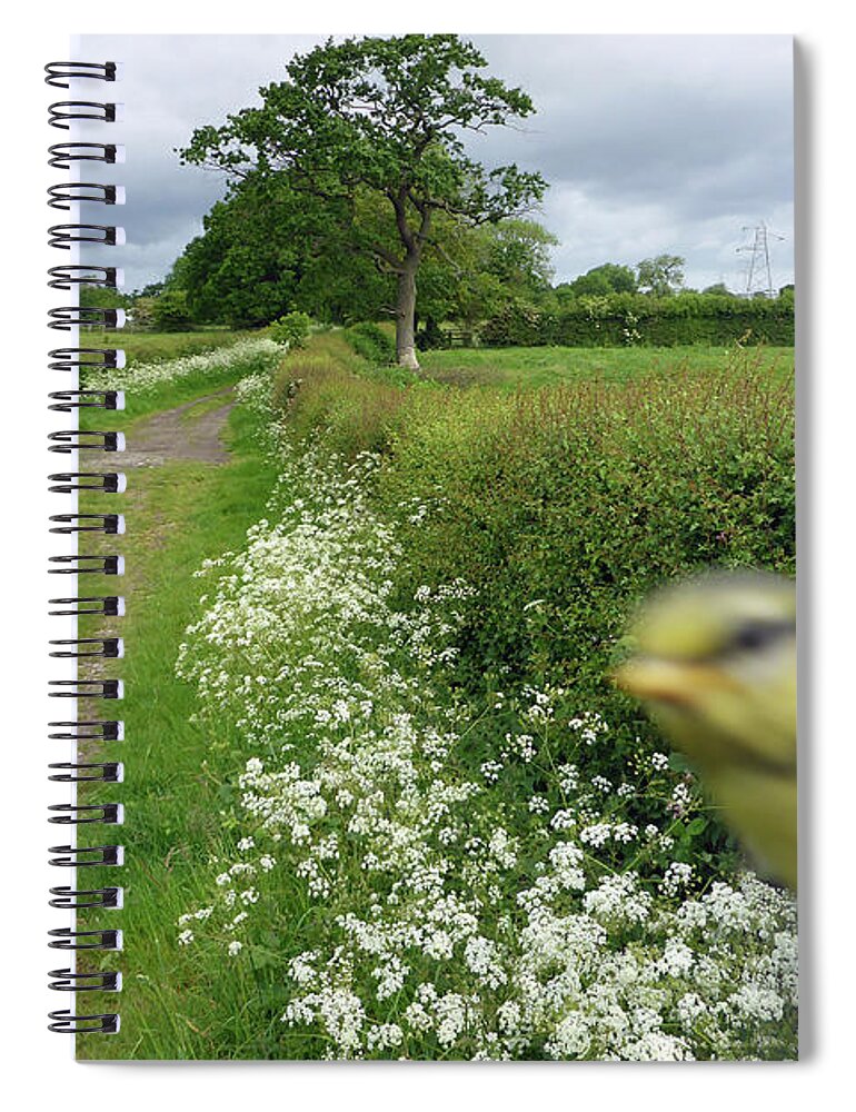 England Spiral Notebook featuring the photograph Anatol by Ian Hutson