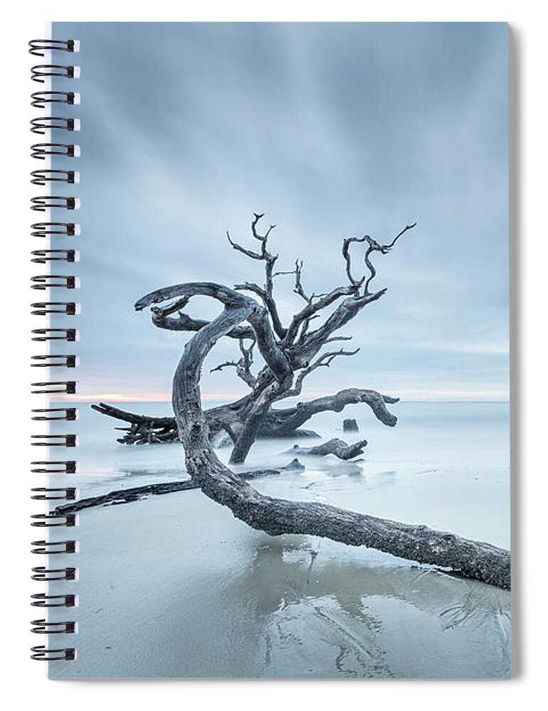 Driftwood Beach Spiral Notebook featuring the photograph Ancient Driftwood by Jordan Hill