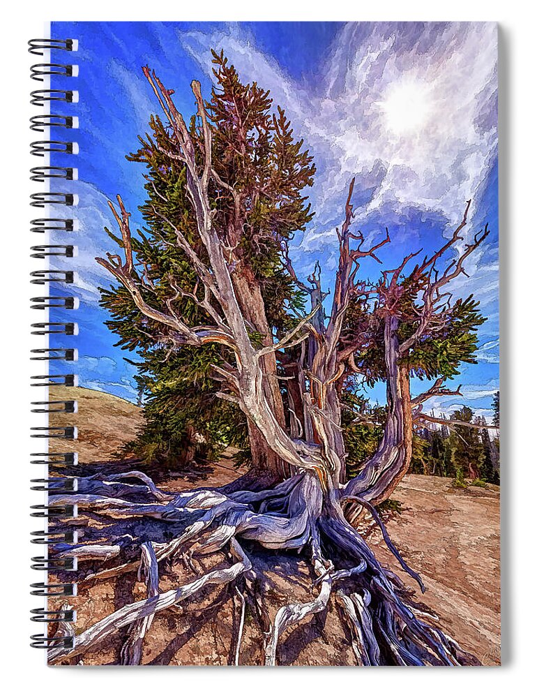Nature Spiral Notebook featuring the photograph Ancient Expansion by ABeautifulSky Photography by Bill Caldwell