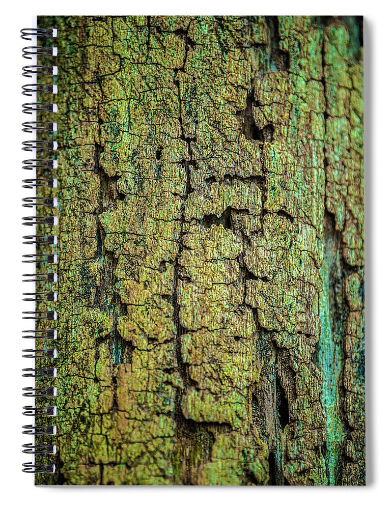 Ancient Spiral Notebook featuring the photograph Ancient Gold Wood Bark Abstract by Bruce Pritchett