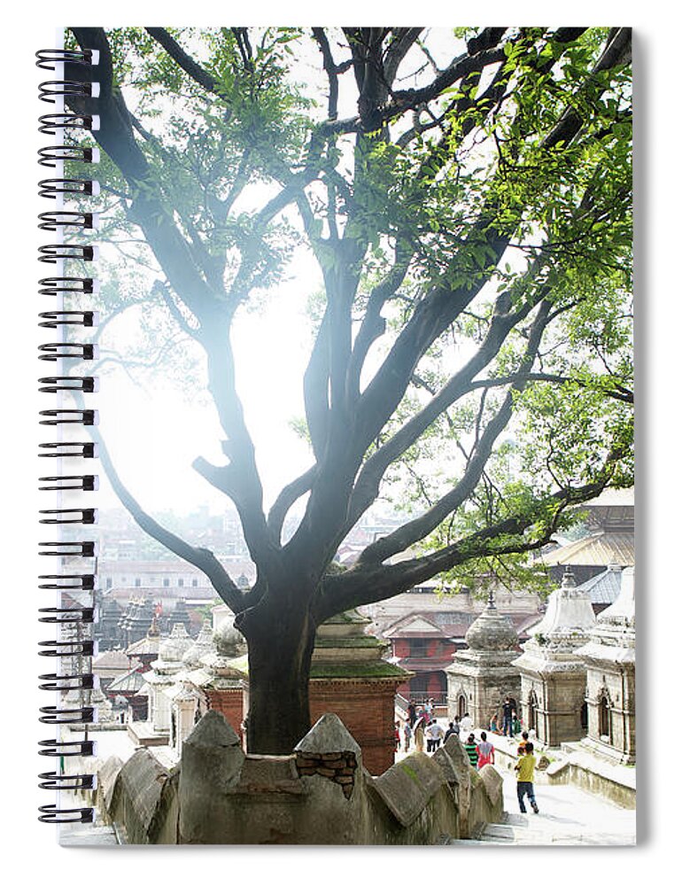Nepal Spiral Notebook featuring the photograph Ancient Tree in Ancient Lands by Joseph Philipson