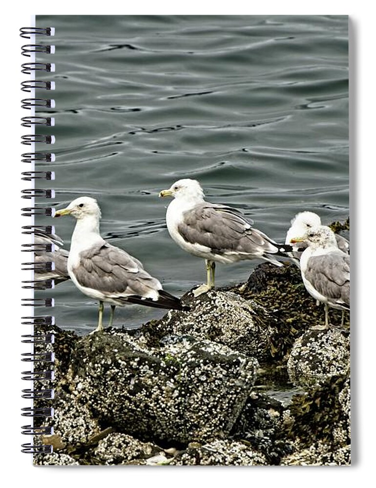 Coast Spiral Notebook featuring the photograph And The Crowd Cheers by DADPhotography