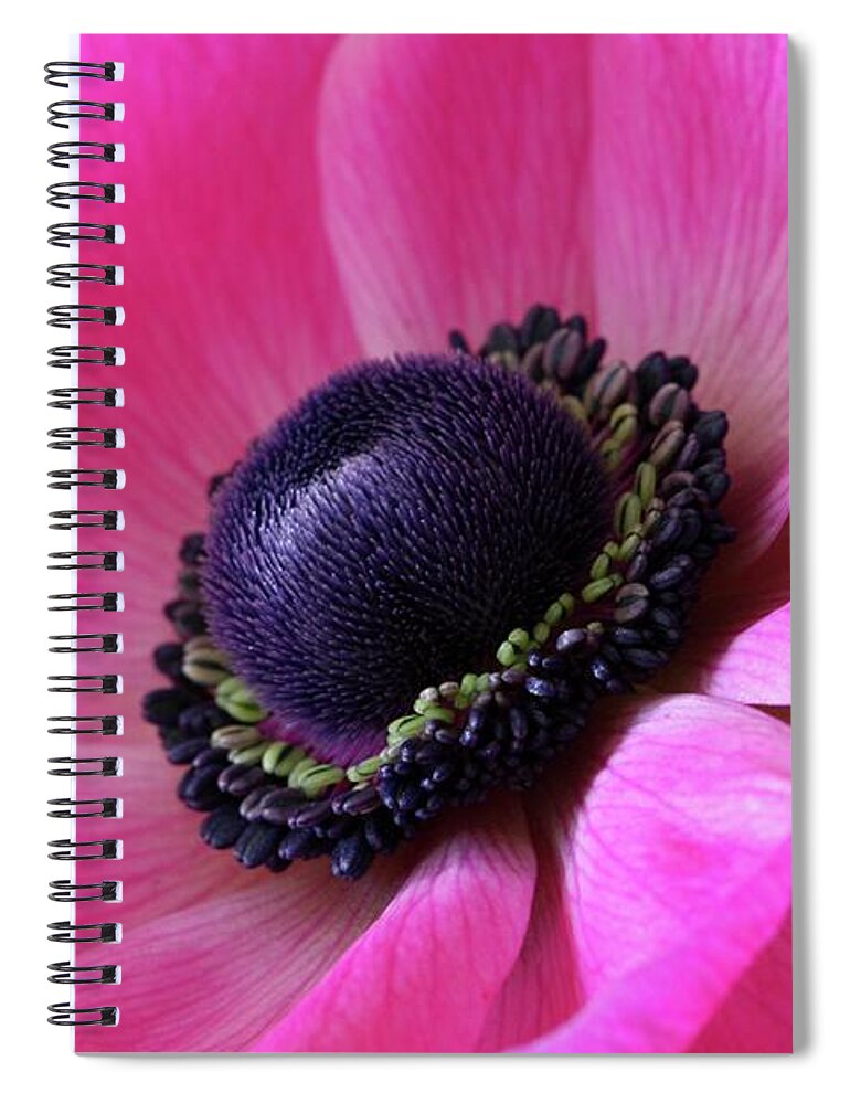Macro Spiral Notebook featuring the photograph Anemone Pink by Julie Powell
