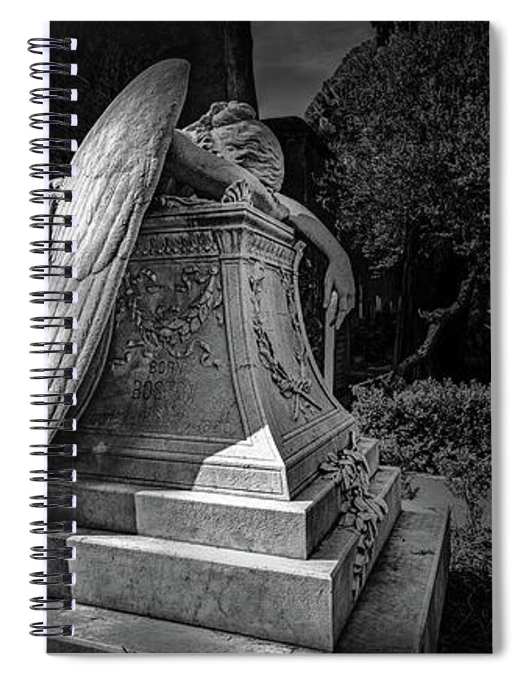 Cemetery Spiral Notebook featuring the photograph Angel of Grief by Mike Schaffner