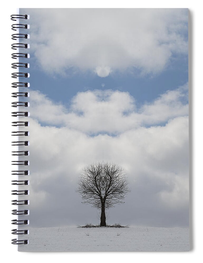 Richard Reeve Spiral Notebook featuring the photograph Angel Tree by Richard Reeve