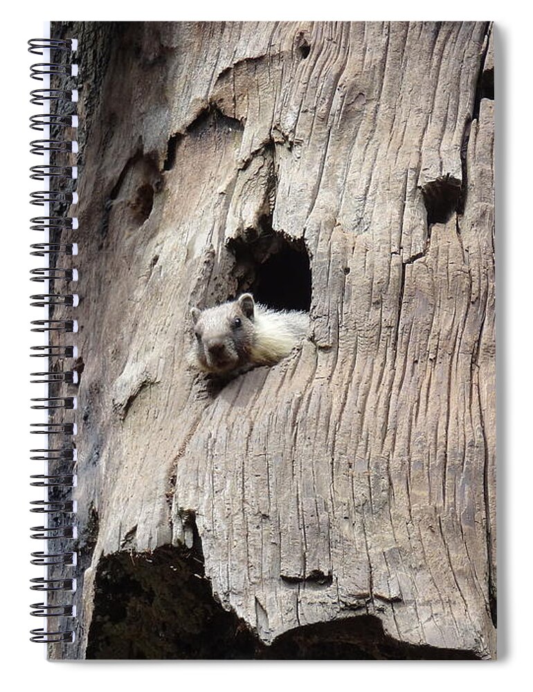 Animal Spiral Notebook featuring the photograph Animal by Joelle Philibert