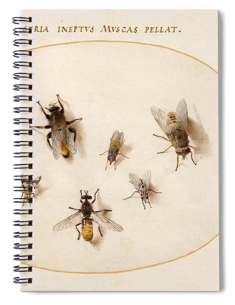 Joris Hoefnagel Spiral Notebook featuring the drawing Animalia Rationalia et Insecta, Plate LXVIII by Joris Hoefnagel