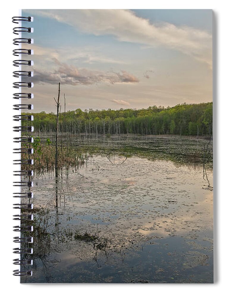 Wetlands Spiral Notebook featuring the photograph Another Era by Angelo Marcialis