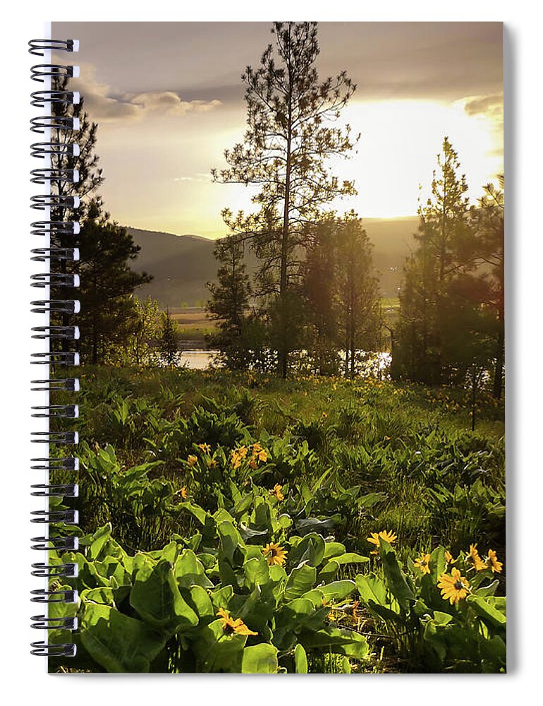 Balsam Root Flowers Spiral Notebook featuring the photograph Another New Day by Linda McRae