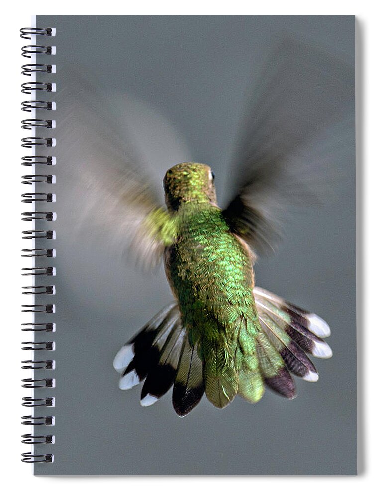 Colors Spiral Notebook featuring the photograph Another Perspective by Paul Vitko