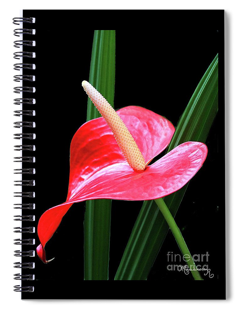 Nature Spiral Notebook featuring the photograph Anthurium by Mariarosa Rockefeller