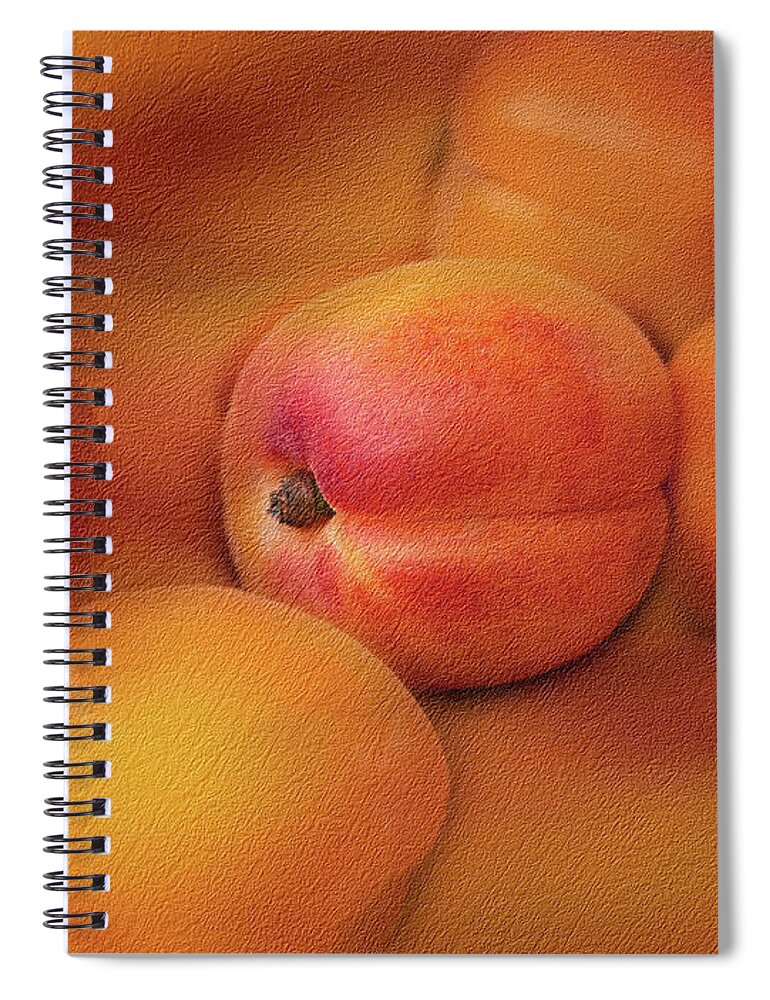 Apricots - Photo Painting - Abstract Photography - Blue Sky - Fruits - Abstract - Flowers - Flower - Vegetal Painting - Digital Art And Painting - Red - Photo Spiral Notebook featuring the photograph Apricots by Al Fio Bonina