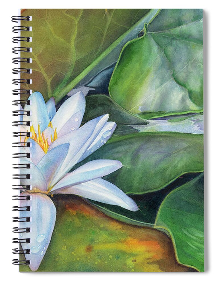 Original Watercolor Painting Spiral Notebook featuring the painting Arboretum Star by Sandy Haight