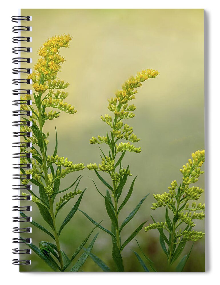 Arboretum Spiral Notebook featuring the photograph Arboretum Wildflowers by James Woody
