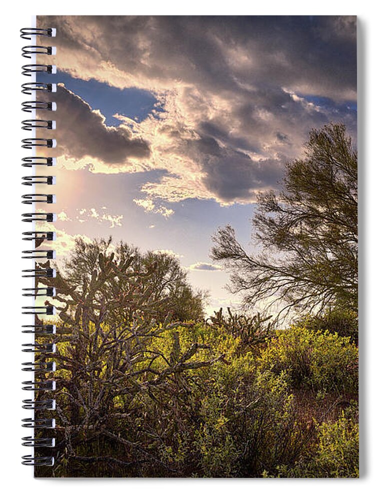 Arizona Spiral Notebook featuring the photograph Arizona Sunlight by Chance Kafka