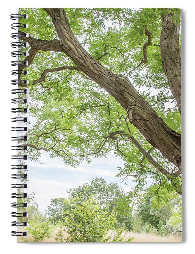 Arnos Park Spiral Notebook featuring the photograph Arnos Park Trees Summer 3 by Edmund Peston
