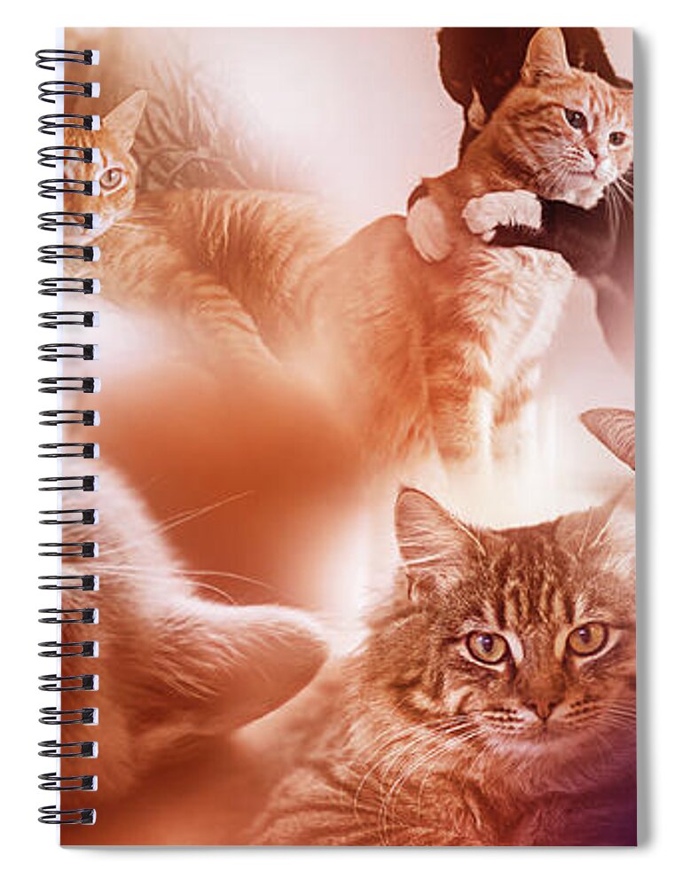Cats Spiral Notebook featuring the digital art Art - Cute Cats by Matthias Zegveld