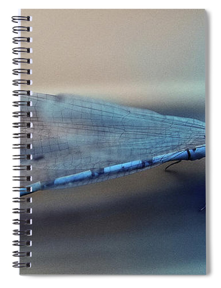 Fantasy Spiral Notebook featuring the digital art Art - Super Fly by Matthias Zegveld